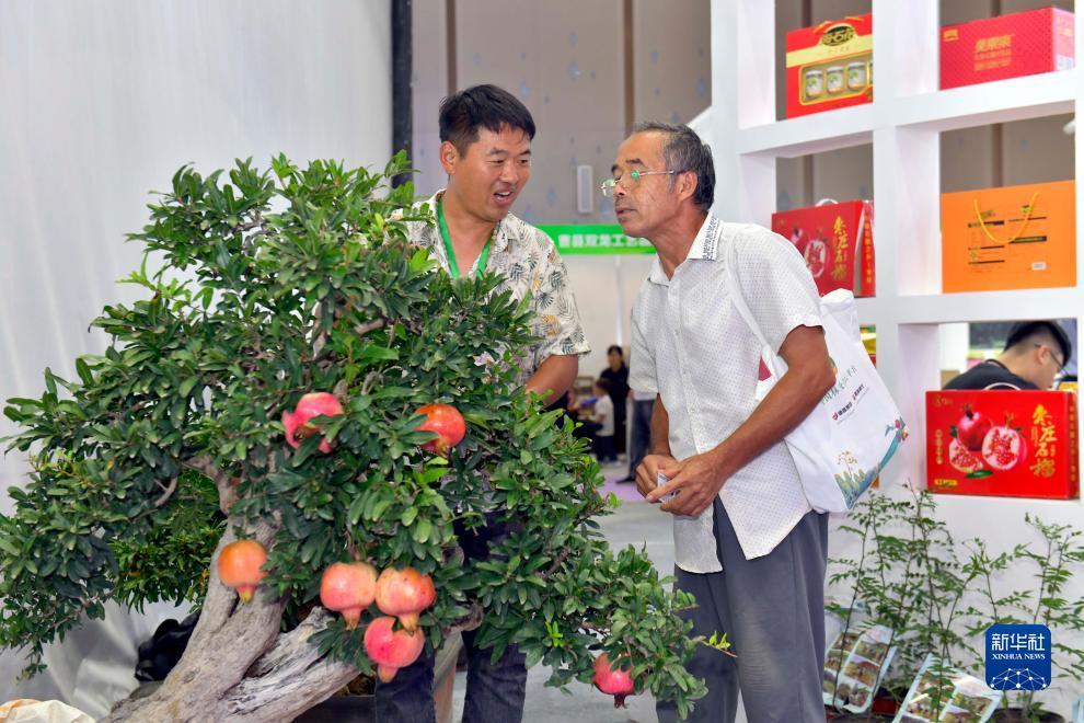 mg游戏官网